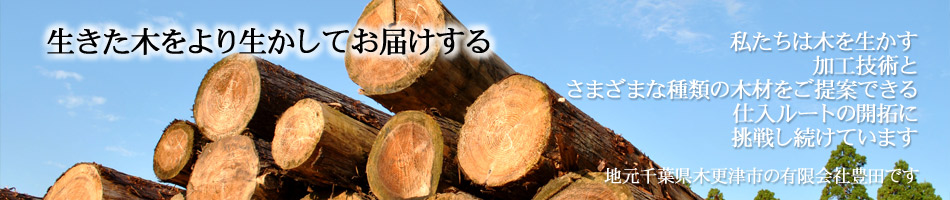 豊田木材|木更津市の木材卸専門店（とよだ)｜合板・ベニヤ板 の トップページへ戻る